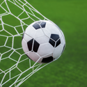 Soccer adulte
