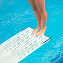 Plongeon